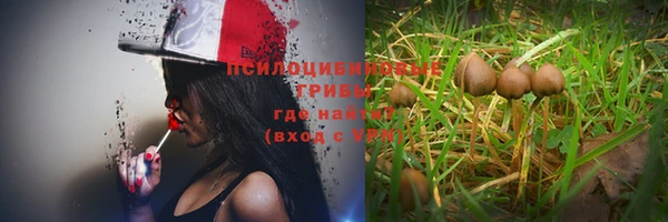 бошки Абдулино