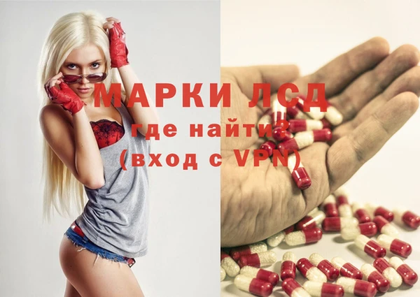 прущие грибы Алексеевка